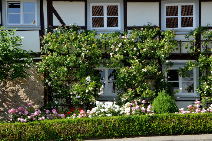 DSC_0343_Hirtenhaus_web.jpg