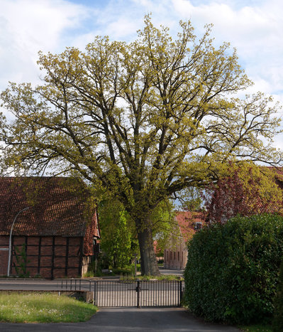05030021_web.jpg