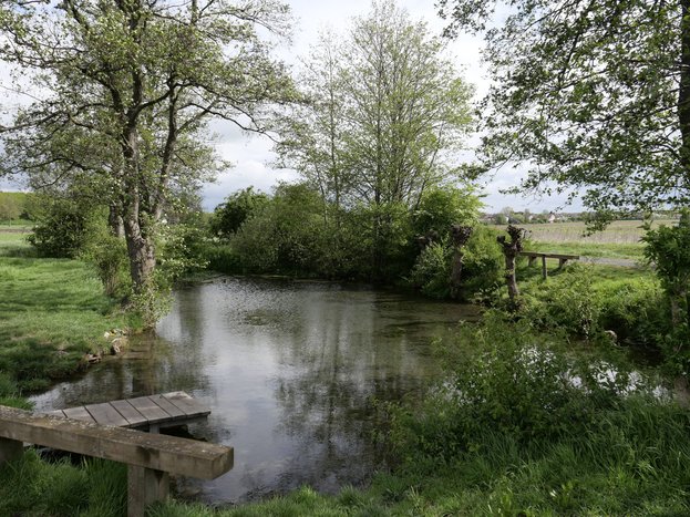 Spring-BHansen.jpg